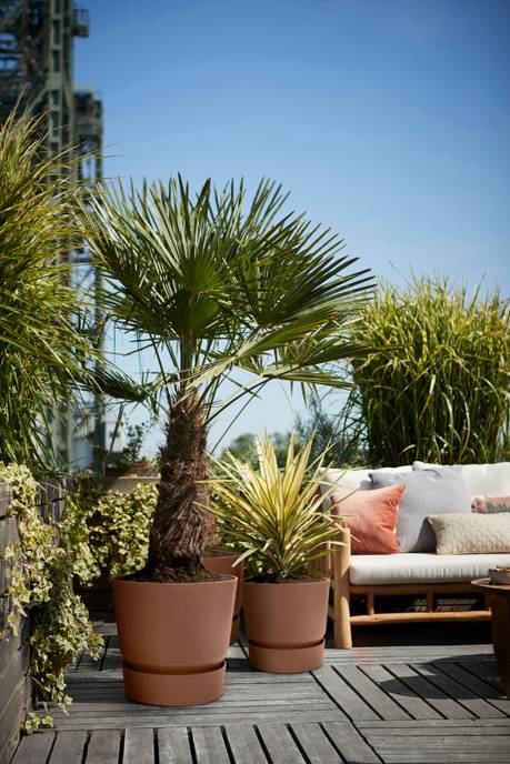 greenville rond 40cm marron glacé